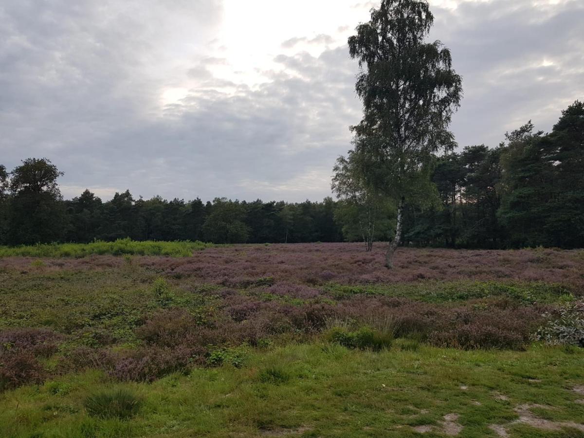 De Lindenhoeve Valthe Eksteriør billede